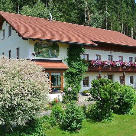 Haus Am Waldrand - Ferienwohnung Augustin Grafenau  Exterior foto