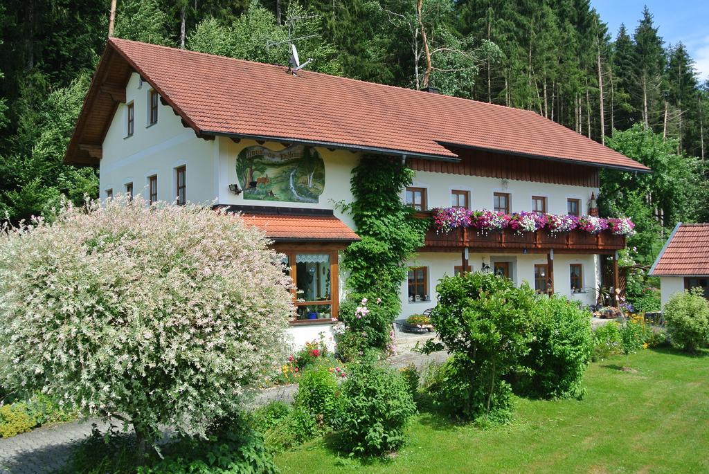 Haus Am Waldrand - Ferienwohnung Augustin Grafenau  Exterior foto